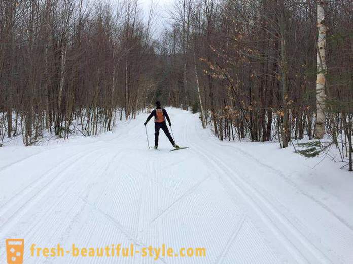 Hur man väljer skidor för skridskoåkning kurs: tips för nybörjare