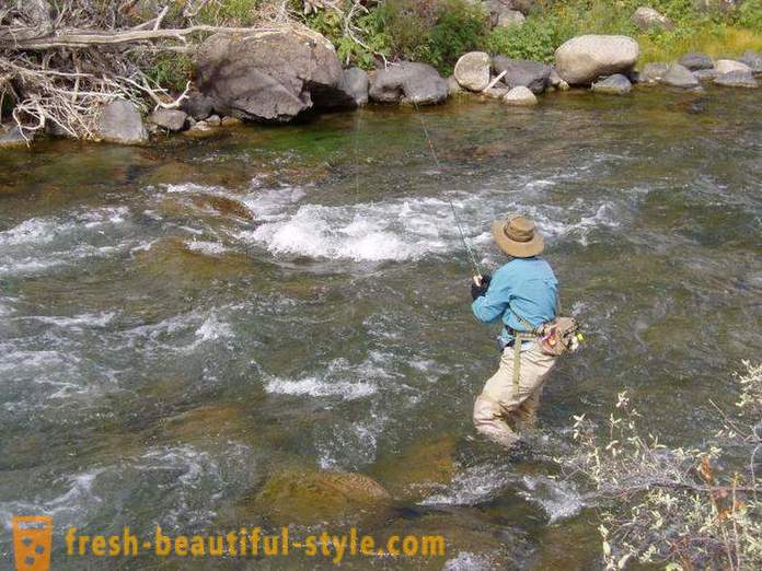 Chub fiske: sätt att bete. Fånga färna sommar