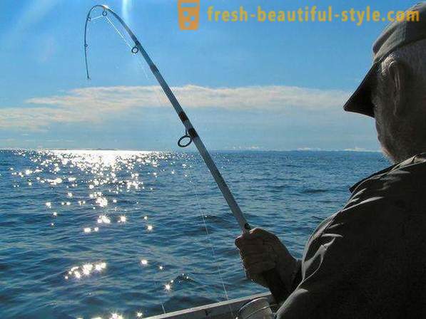 Jag gillar att fiska? Fiske på sjön, floden och havet. Hur man fiskar med spinning?