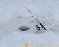 Spännande fiske efter karp på vintern